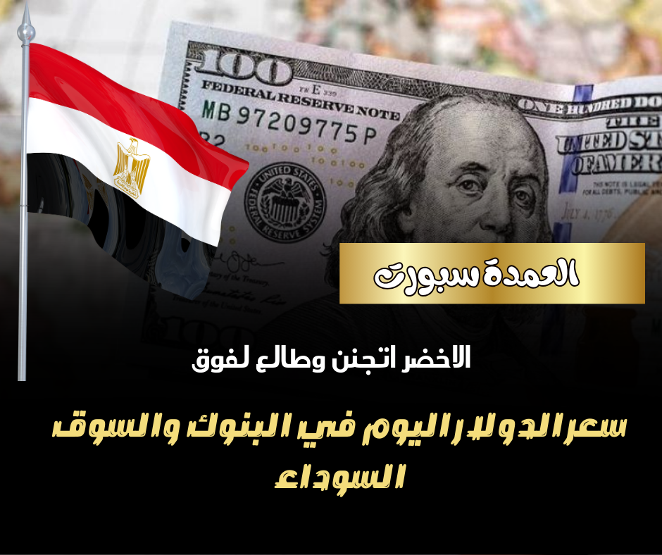 سعر الدولار فى مصر اليوم