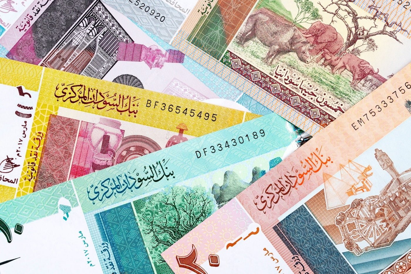 سعر الدولار اليوم في السودان الخميس 28 نوفمبر 2024 